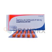 Ampicilline